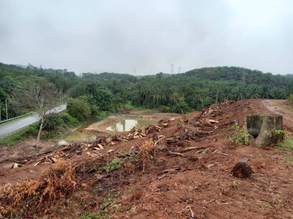 Freehold Agricultural Land Negeri Sembilan